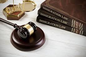 Best Legal Advice for Immigrants