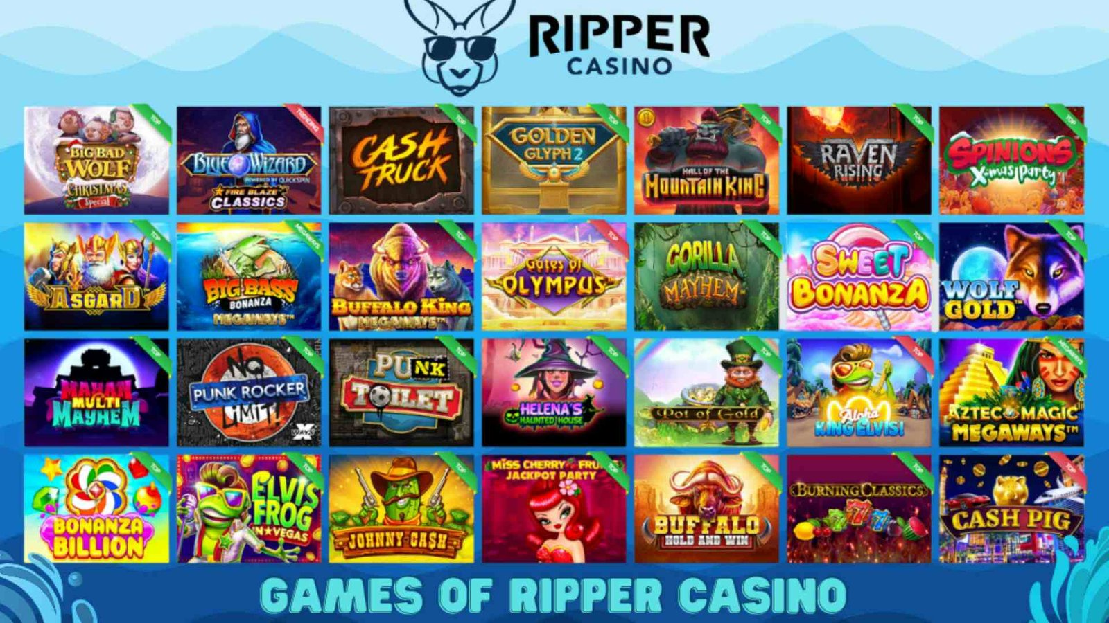 The Integrity of the Game: A Deep Dive into Ripper No Deposit Bonus Community Standards